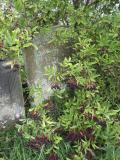 image of grave number 934427